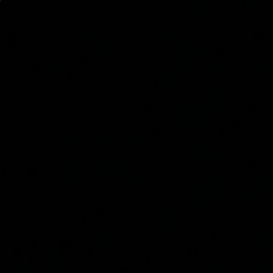 Meet your Posher, Jesus